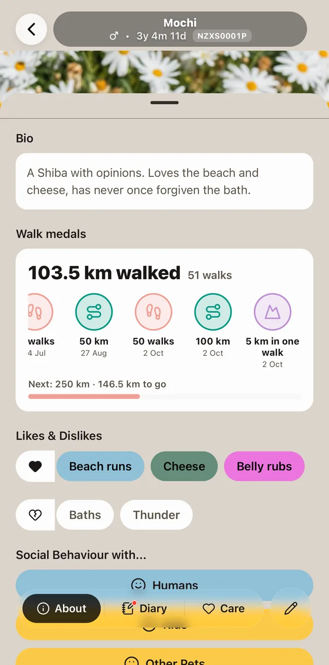 Walk medals on a pet's profile