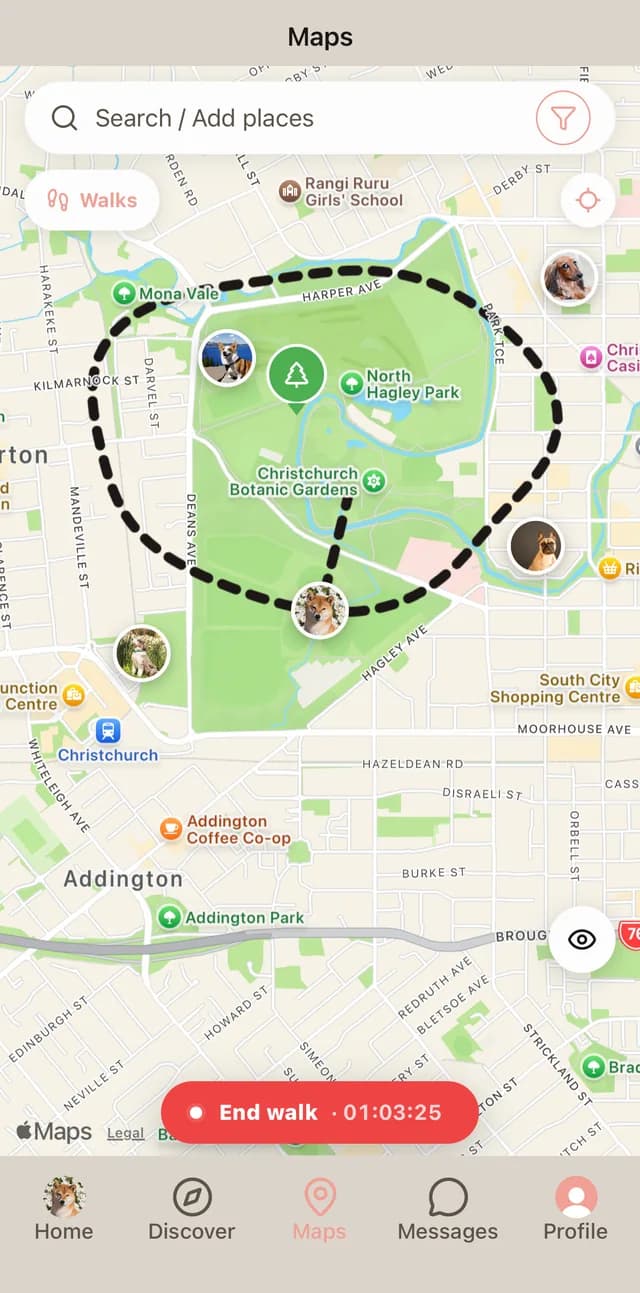 A walk being recorded around a park